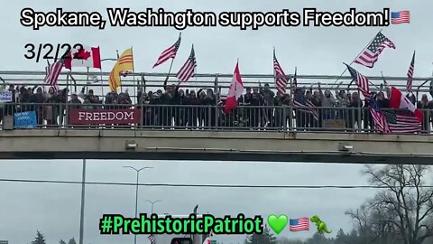 3/2/22 Freedom Convoy - love and support from Patriots on the overpass through Spokane WA on I-90