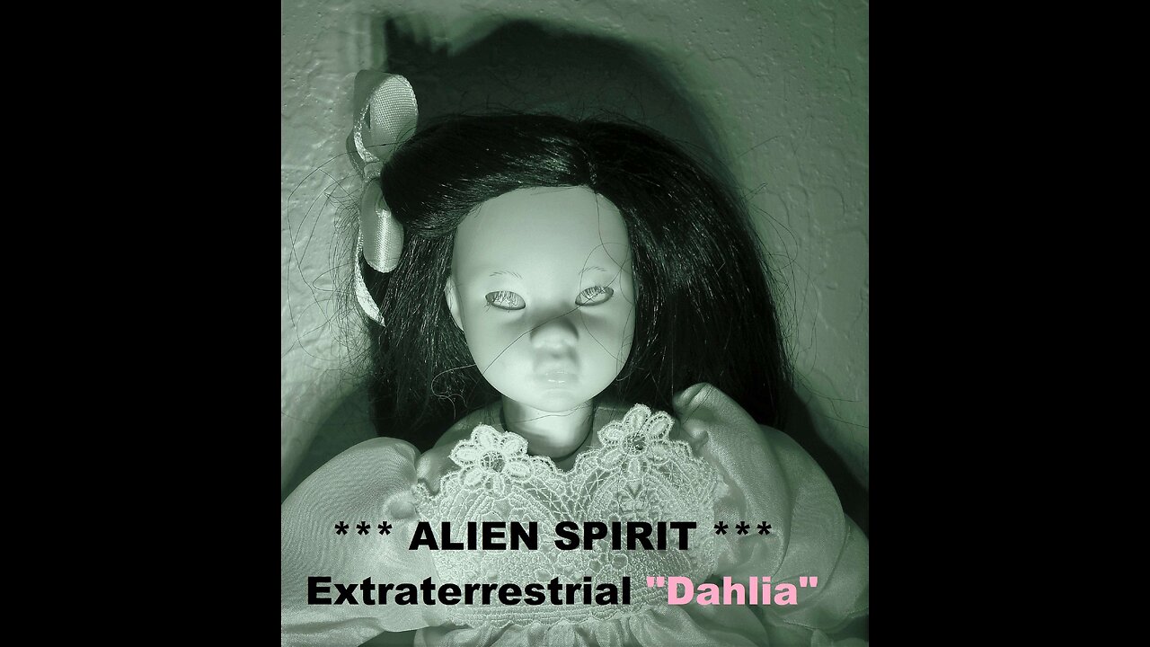 Extraterrestrial Spirit in doll?!?! Meet Dahlia from Zeta Reticuli star system!