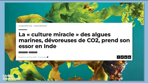 La France pourrait produire autant de gaz que la Russie ?