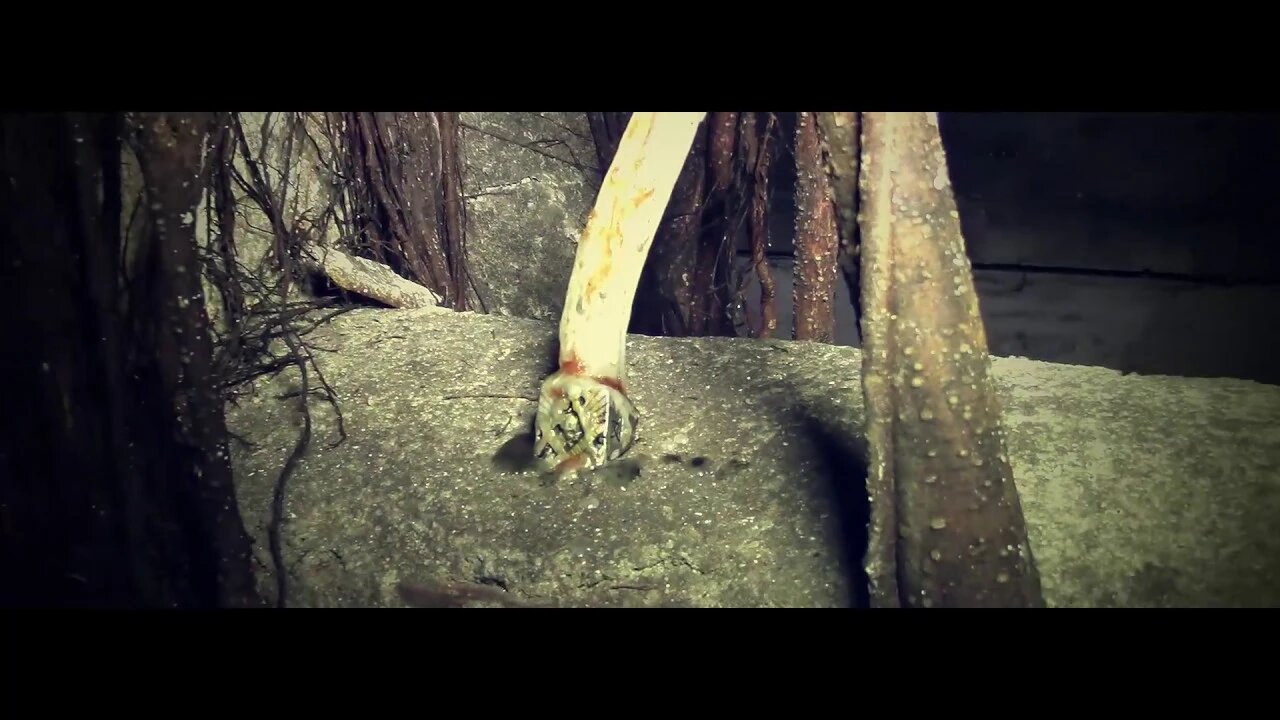 Teaser do Novo Vídeo da ROTA, amanhã 22hs preparem a Pipoca