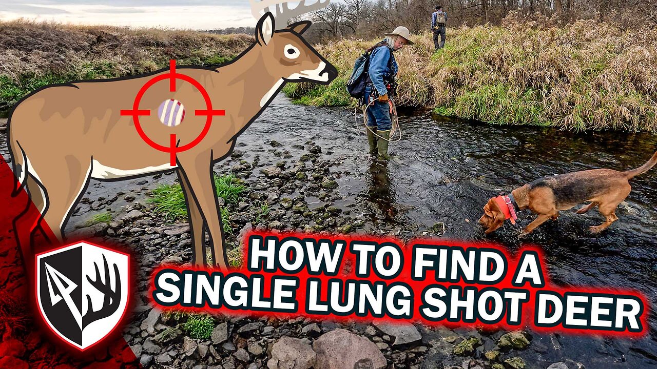 How To Find A Single Lung Shot Deer!