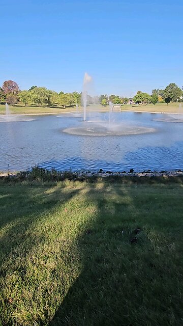 My Peaceful Place - What is Treason?