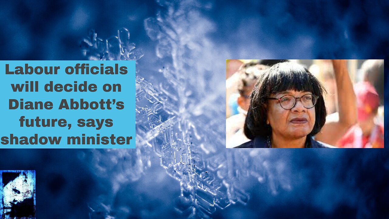 Labour officials will decide on Diane Abbott’s future, says shadow minister