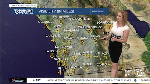 ABC 10News Pinpoint Weather with Meteorologist Leah Pezzetti