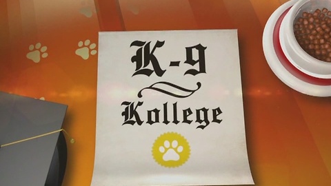 K9 Kollege 1/10/17