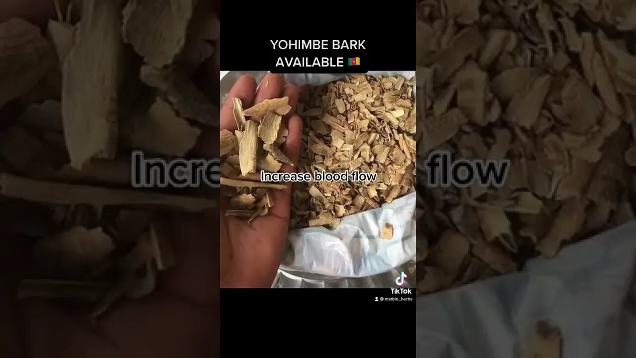 ۱۶ اوت ۲۰۲۲