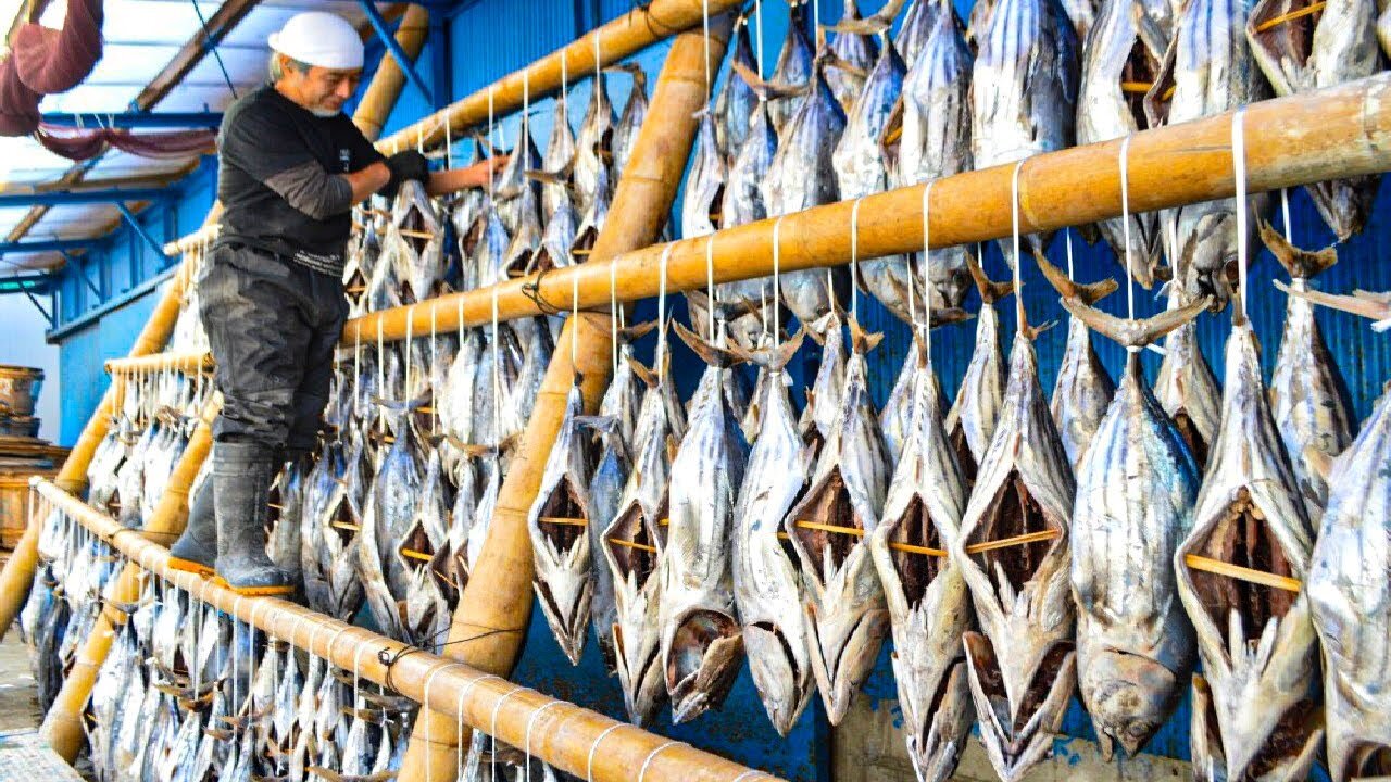 Japanese Hardest Food of Tuna - Traditional Smoked Tuna Production Process - Tuna Processing