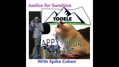 Spike Cohen, Justice for Sunshine