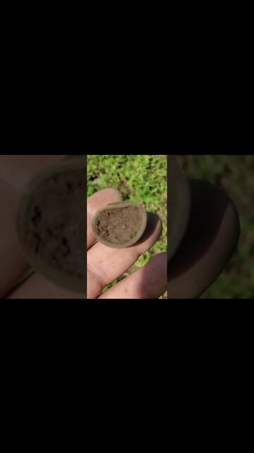 Leave a comment on your guess #relic#coin #metaldetecting #civilwar #battlefield #trending # #silver