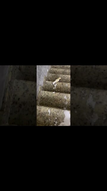 Satisfying ASMR video