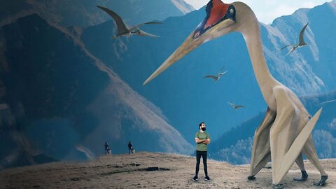 What If the Pterodactyl Was Still Alive?