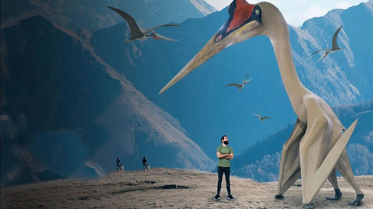 What If the Pterodactyl Was Still Alive?