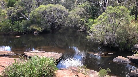 Peaceful creek in Oz 🙌🇦🇺🙌