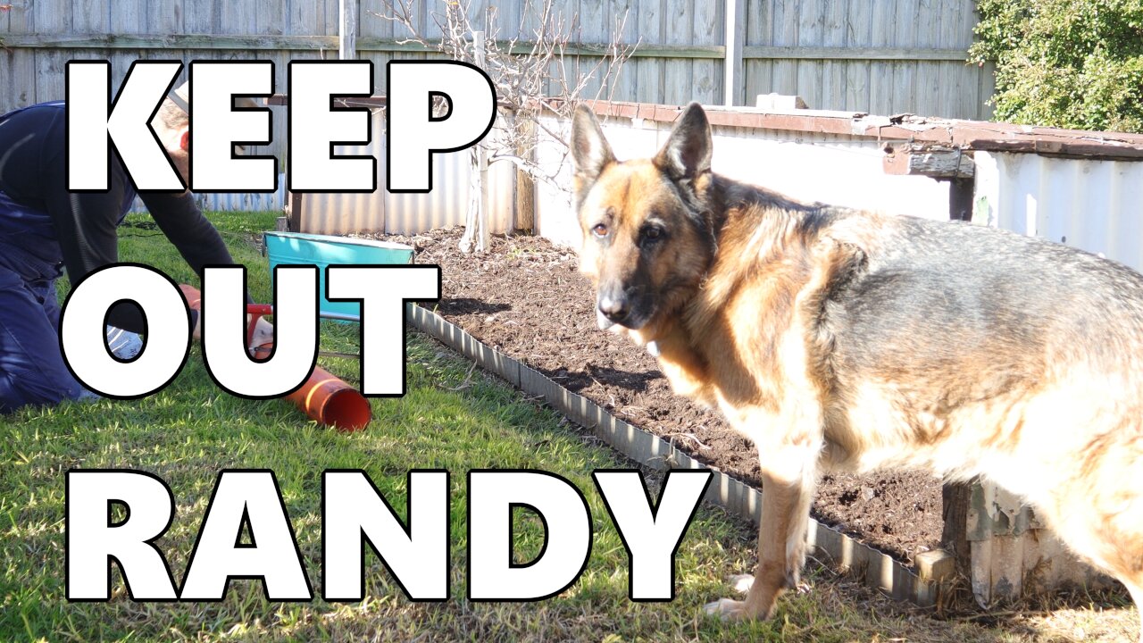 Keep Out Randy