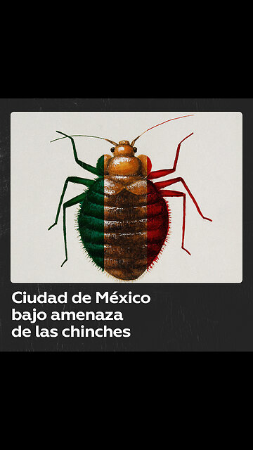 Ciudad de México lidia con una posible plaga de chinches