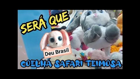 COELHA 🐰 SAFARI TEIMOSA, SERÁ QUE VEIO 🤔🤔🤔