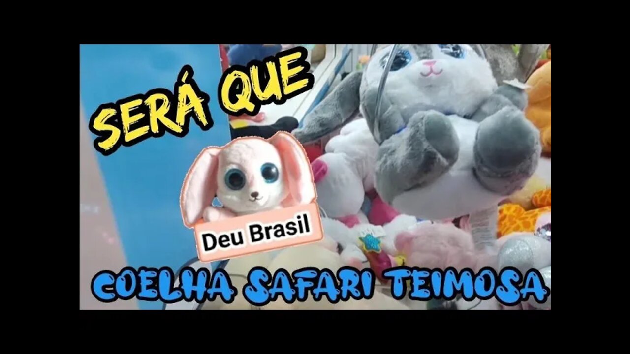 COELHA π° SAFARI TEIMOSA, SERΓ QUE VEIO π€π€π€
