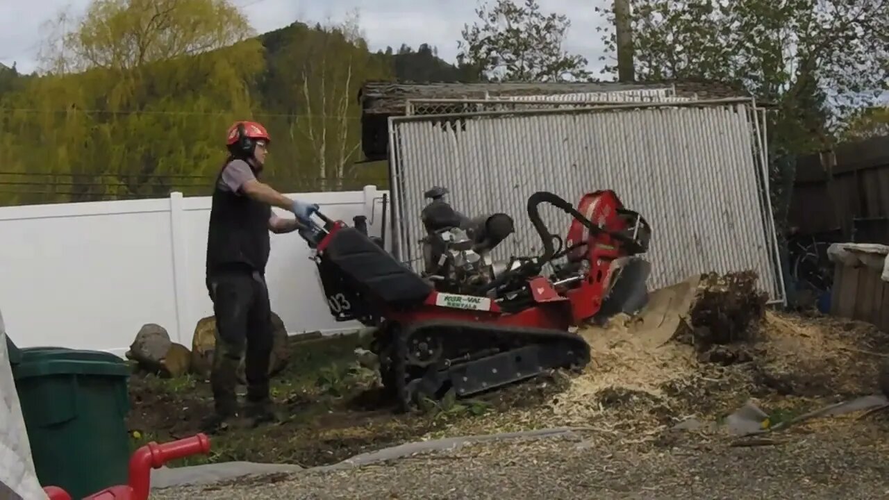 Tree Stump Grinding by Wise Wood Tree Ltd. Time lapse