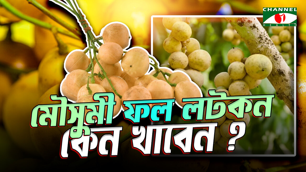 মৌসুমী ফল লটকনের পুষ্টিগুণ ও উপকারিতা | Baccaurea Motleyana | Seasonal Fruit