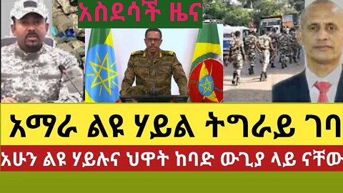 breaking news today|| አስደሳች ዜና አማራ ልዩ ሃይል| ትግራይ ገባ በህውትና በልዩ ሃይል ገባድ ዉጊያ