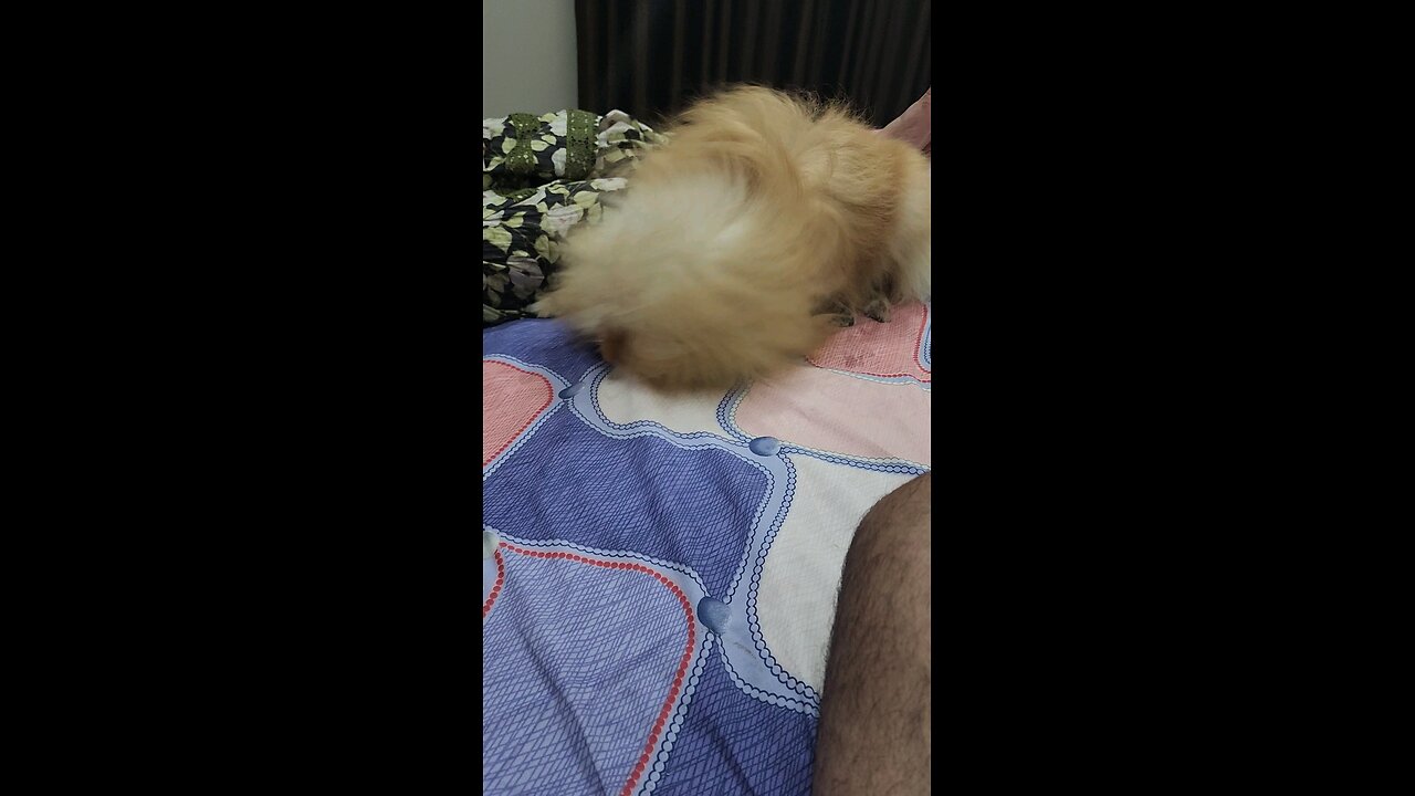 our Rio