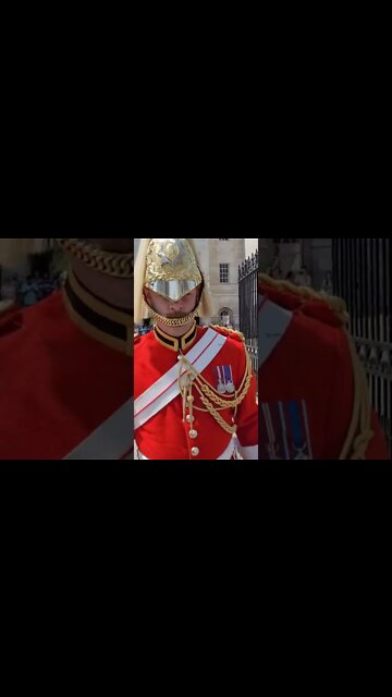 changing of the Guards the Reds #horseguardsparade