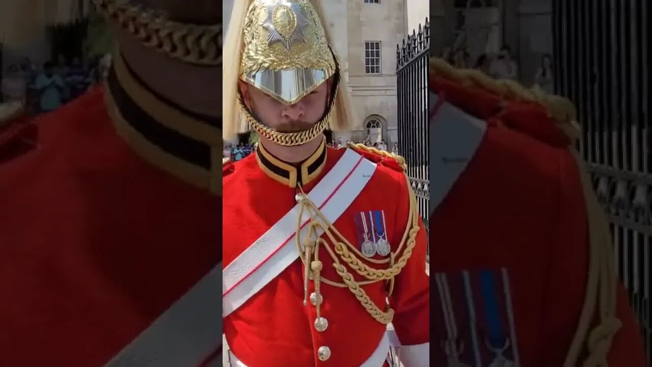 changing of the Guards the Reds #horseguardsparade