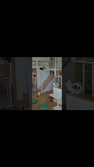 funny viral ❤️❤️❤️