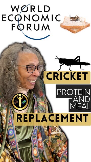 Meal Replacement with Insects