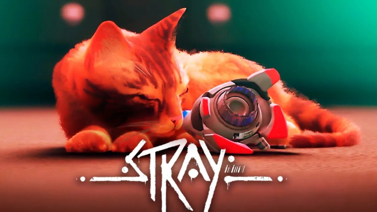 STRAY - UM EMOCIONANTE FINAL!