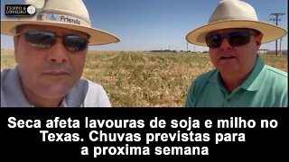 Seca afeta lavouras de soja e milho no Texas. Chuvas previstas para a próxima semana