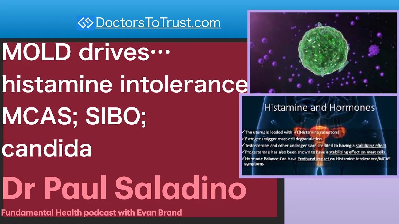 DR PAUL SALADINO 3 | MOLD drives…histamine intolerance MCAS; SIBO; candida