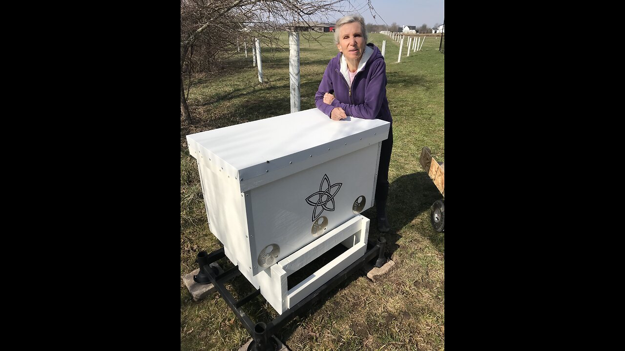 We Have Bees: Dr. Leo's Horizontal Hive Gets a Swarm Installed