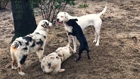 5 Minutes After the Rain With the Playcare Pack