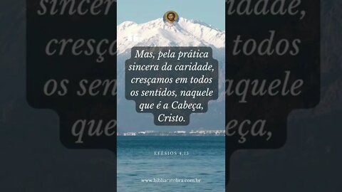 Efésios 4,15 - Mas, pela prática sincera da caridade, cresçamos em todos os sentidos, naquele que...