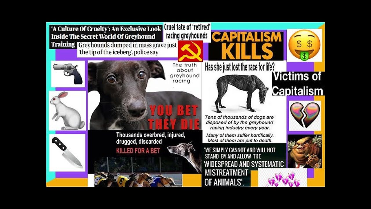 The Greyhound Dog Racing Industry Files (DEEP-DIVE) Capitalism, Puppy Mills, True Crime