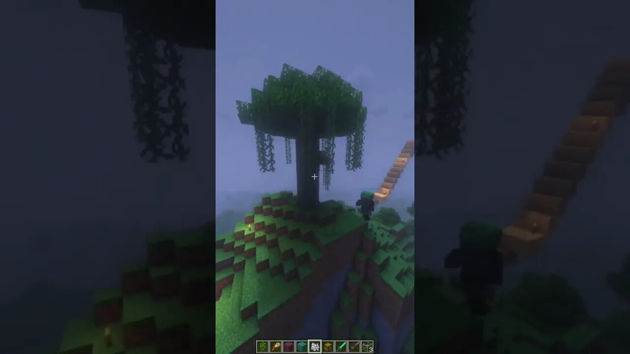 Minecraft 1.19 Server New Shaders & Mods Survival Multiplayer Java SMP Discord ⛏🧱 46.4.53.240:27086