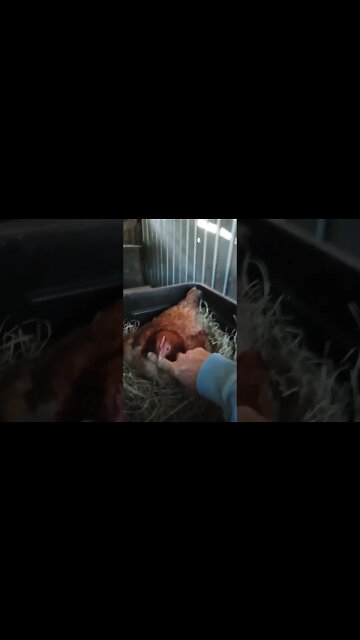 Good morning Forest it's a bit cold this morning