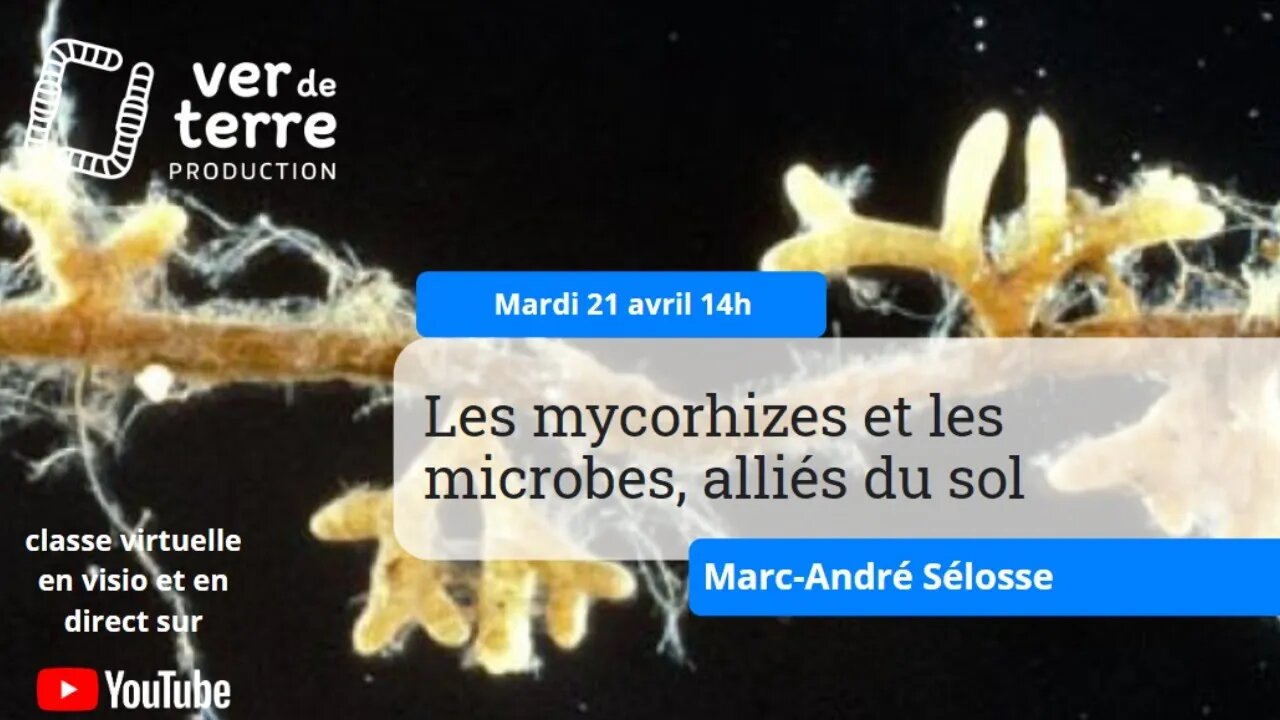 Les mycorhizes et les microbes, alliés du sol, avec Marc-André Sélosse