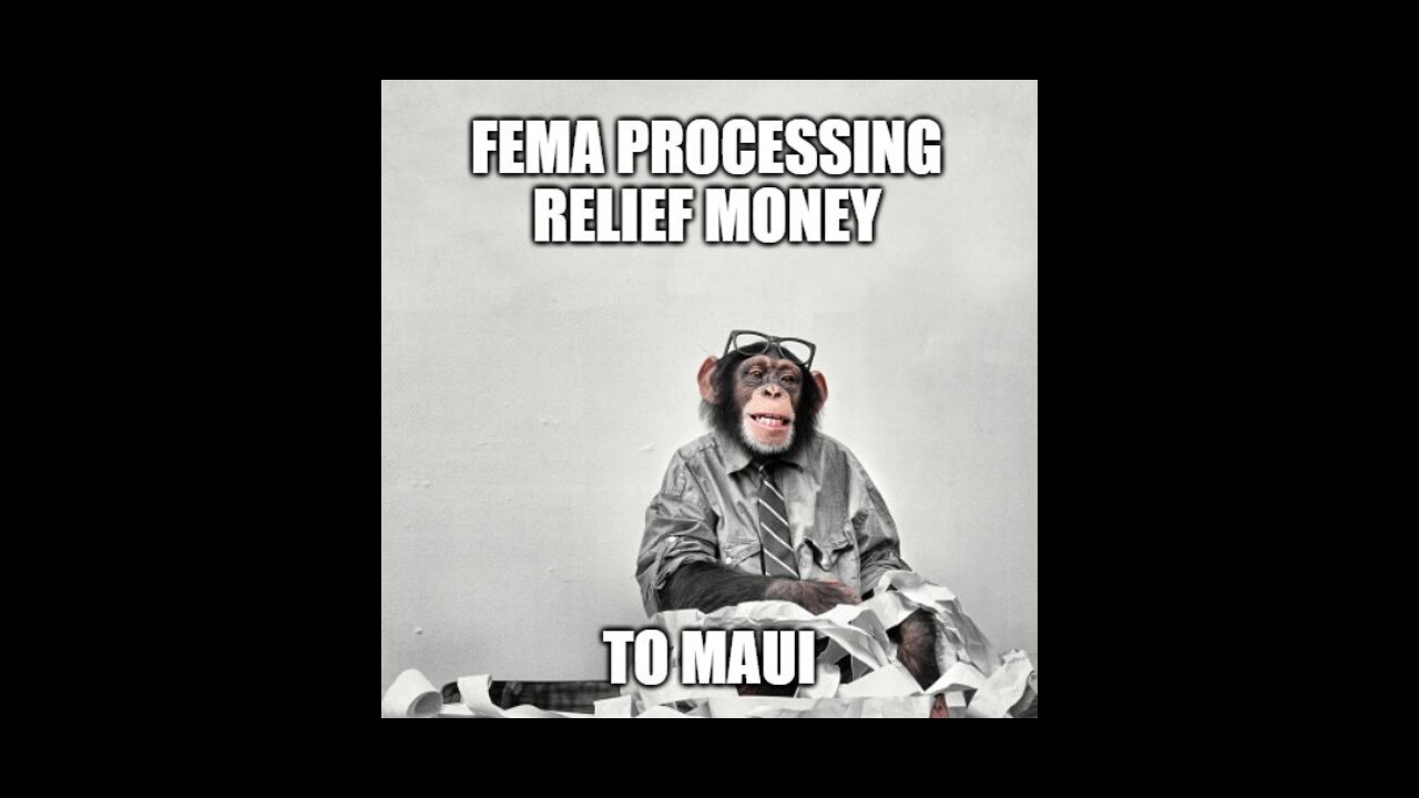 Maui Fire- You Aren't Crazy If You Recognize Patterns