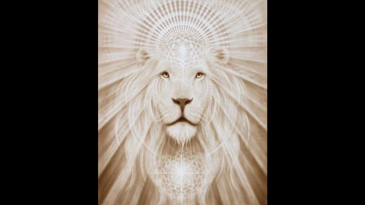 Starseed History 🌎🌟