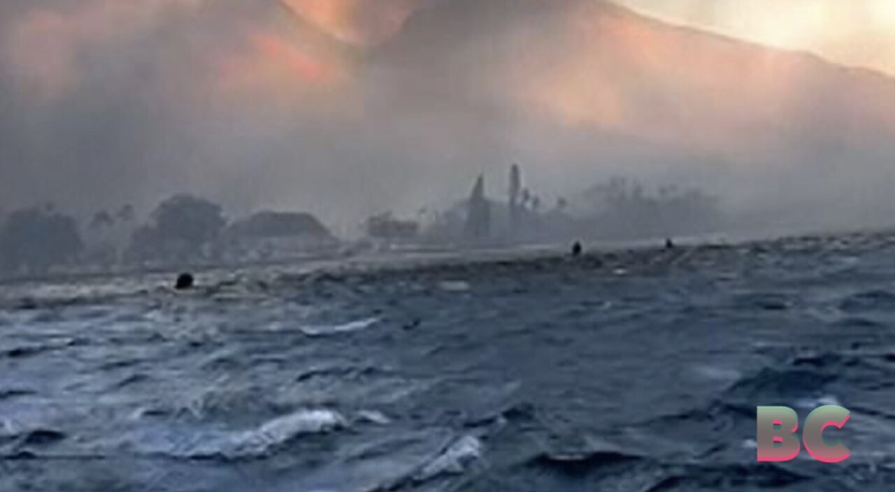 People in Hawaii flee into ocean to escape wildfires