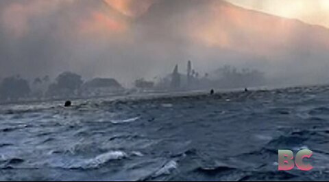 People in Hawaii flee into ocean to escape wildfires