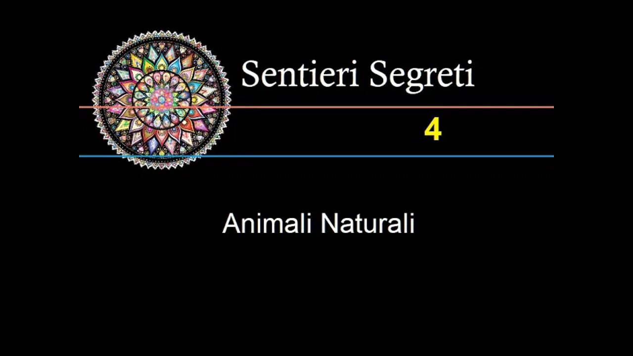 S. S. N 4 - Animali Naturali