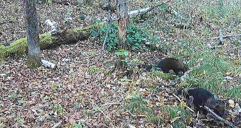 Family of fishers at the spring