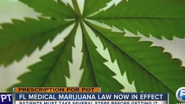 FL medical marijuana law now in effect