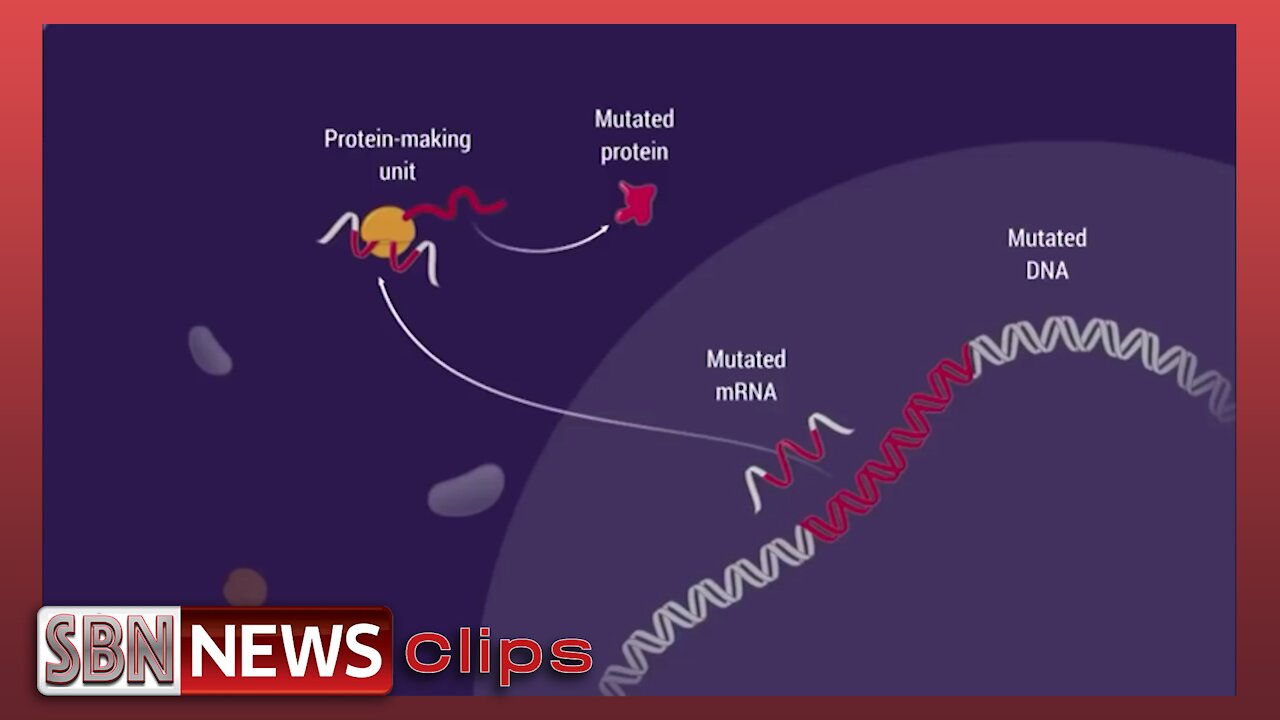 Moderna Chief Medical Officer Admits mRNA Alters DNA - the Washington Standard - 5449