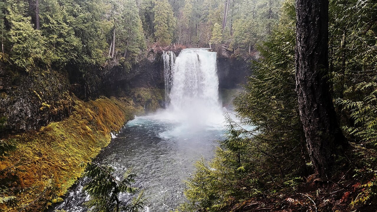 THE PERFECT 3-PACK HIKING DAY! | Koosah/Sahalie Falls + Clear Lake + Blue Pool | Central Oregon | 4K