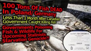 MASS STARVATION PREP?! 100 TONS OF DEAD FISH IN POLAND & GERMAN, POISONED LIKE CANADA GOVT?!