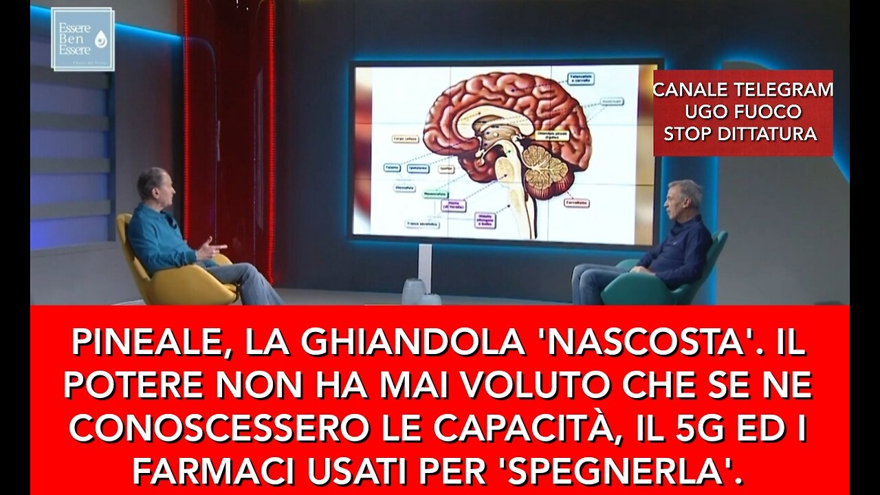 PINEALE, LA GHIANDOLA DELL'ANIMA